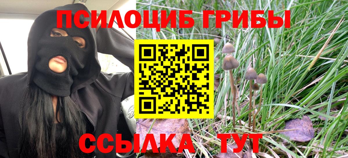 Галлюциногенные грибы Psilocybine cubensis Мелеуз
