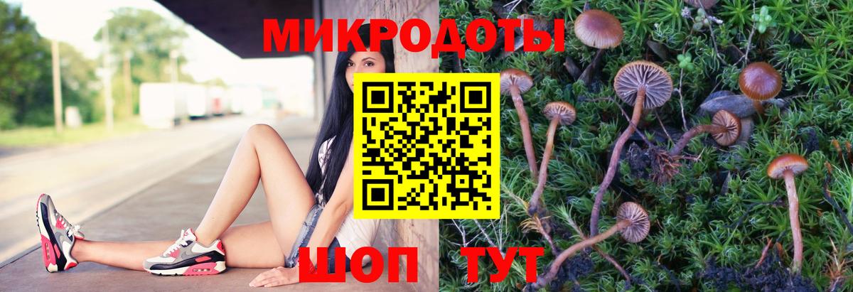 Галлюциногенные грибы Magic Shrooms  Псилоцибиновые грибы ЛСД  Мелеуз  Вход с VPN 